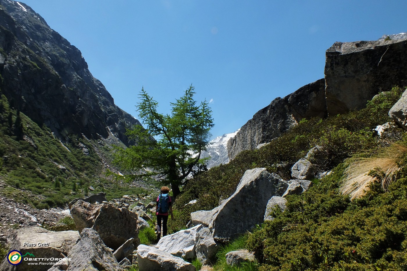 33 Risalendo la valle glaciale del Forno.JPG